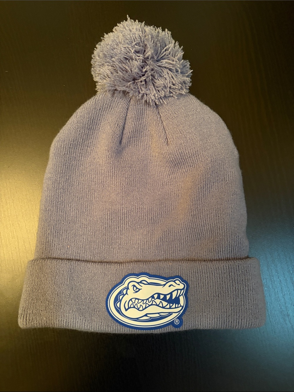 Florida Gators Pom Beanie Hat